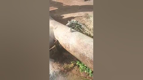 Irrigation main pipe leak