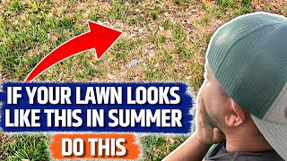 Summer heat got your lawn looking like this | 5 products to improve your lawn this summer