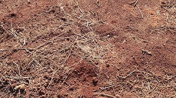 Bán đất ngay nhà thờ ấp Phú Vinh, Hòa Hiệp, Xuyên Mộc dt 2000m2 ngang 54x40 giá 1.2 tỷ