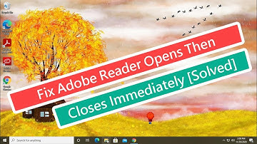 Fix Adobe Reader Opens Then Closes Immediately