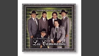 Video thumbnail of "Los Caminantes - Te Estoy Queriendo Tanto"