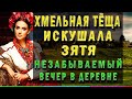 ТЕЩА И ЗЯТЬ - ВЕЧЕР НАЕДИНЕ. Интересные истории из жизни. Короткие аудио рассказы