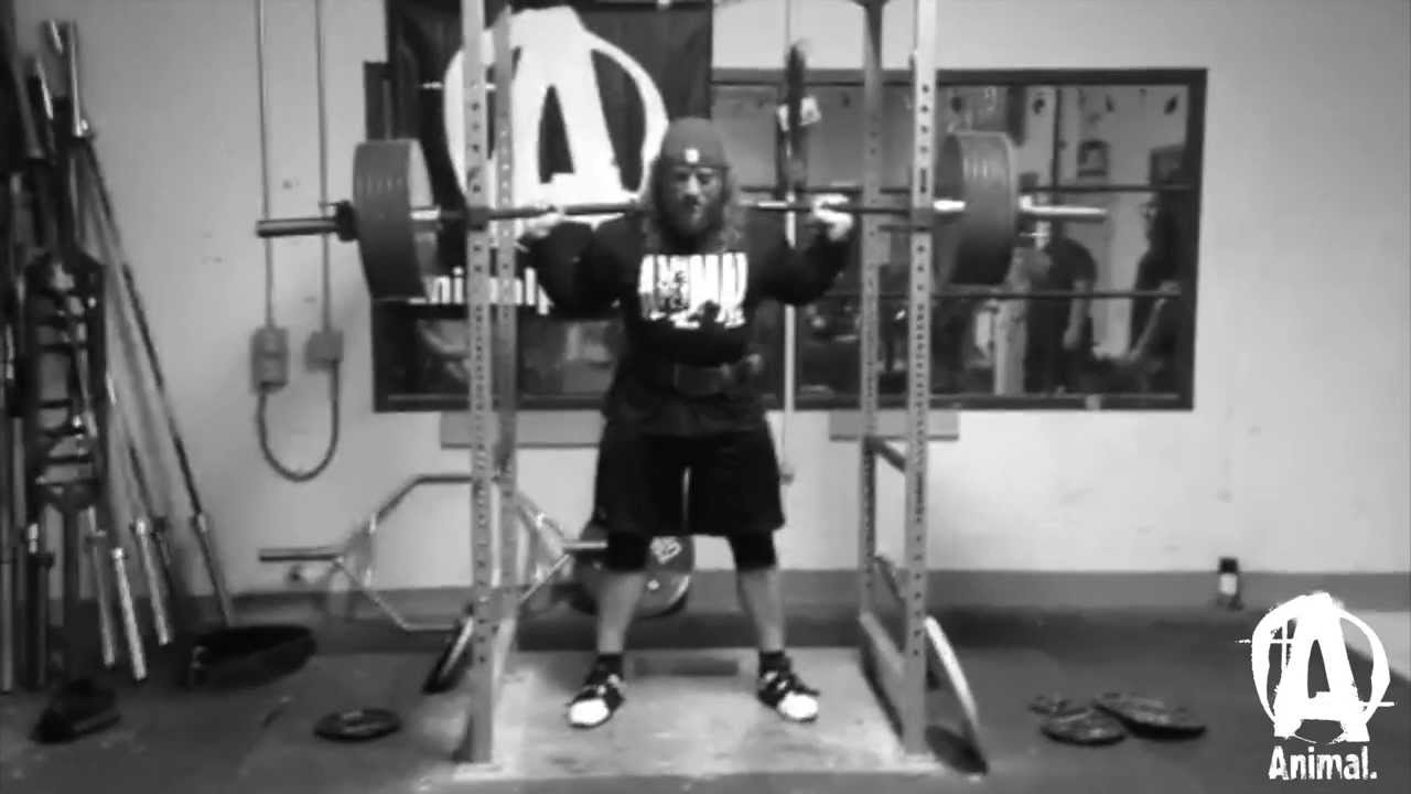 pma The Animal Underground: Dan 