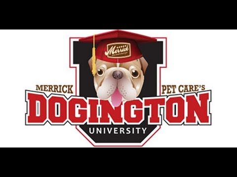 Merrick Pet Care S Dogington University The Importance Of Food In