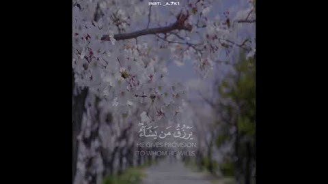الله لطيف بعباده يرزق من يشاء وهو القوي العزيز اسلام صبحي سورة الشورى حالات واتس اب 💛