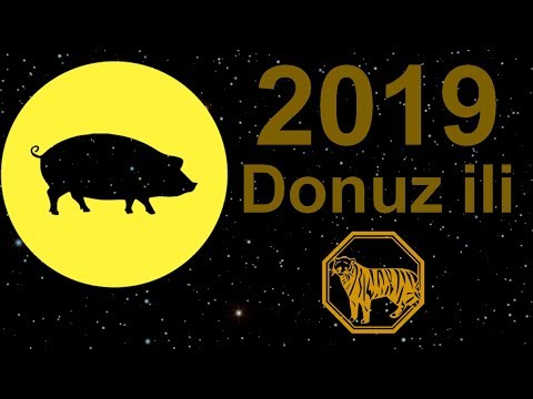 Donuz / Qaban ili olan 2019-cu il Pələng ilində anadan olanlar üçün necə bir il olacaq?