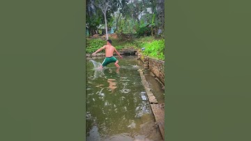 Thanh niên xuống ao kéo cá với thời tiết 12 độ #banmuongtv #wedding #food