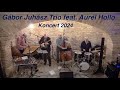 Gábor Juhász Trio feat. Aurél Holló  - koncert 2024