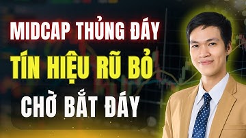 Midcap Thủng Đáy: Tín Hiệu Rũ Bỏ Cuối Cùng Trước Khi Hồi Phục Mạnh