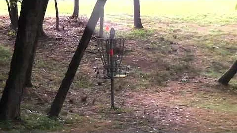 Steve Braud Ace