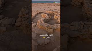 مفاجأة أثرية في #الخليج_العربي