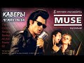 Документальный сериал о Muse: Поют чужие песни, Jaded Hearts Club Band (Beatles, Nirvana, U2)