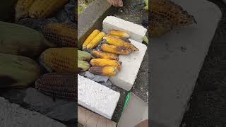 bakar jagung