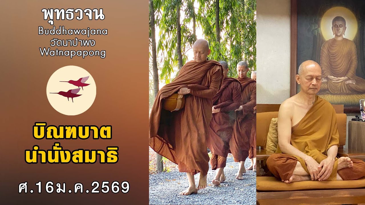 พุทธวจนเรียล Buddhawajana Real " บิณฑบาตและทำสมาธิ " (ศ. 16 ม.ค. 2569)