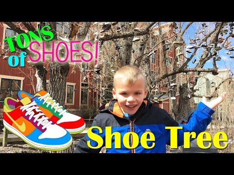SHOE TREE & SNOW  -- A Tree FULL of Shoes!