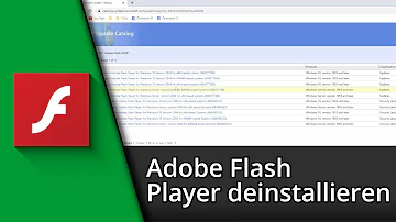 Warum soll man den Flash Player deinstallieren?