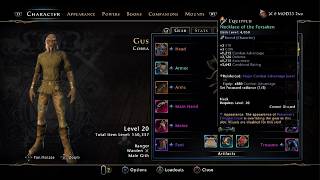 Neverwinter Module 33 Updated Warden Ranger Build (long winded)