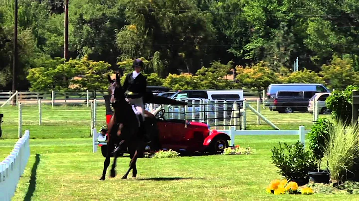 2012 Franktown Meadows Hunter Derby: Vyperia and S...