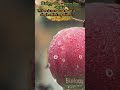 Biology One-Liners Ch.1 XII #shorts#NEET#Bio