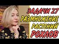 ЗАДАЧИ 27 ЕГЭ ЦИКЛЫ РАЗМНОЖЕНИЯ РАСТЕНИЙ-РОХЛОВ 2022/ПОЛНЫЙ РАЗБОР:БЫСТРО И БЕЗ ВОДЫ