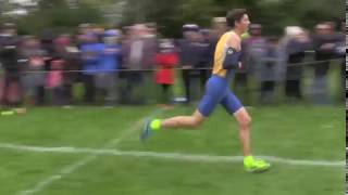 IHSA Boys Cross Country Sectional at Hinsdale (Central) — 2017