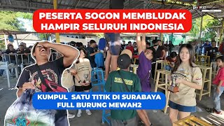 Sogon!Gantangan PSI Surabaya!Banyak burung Mewah Dan Ramainya Luar biasa.