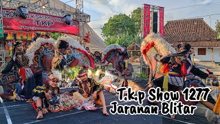 Perang Celeng Srenggi Sore Jaranan Tkp Show 1277  Ngaglik Blitar  Cw 