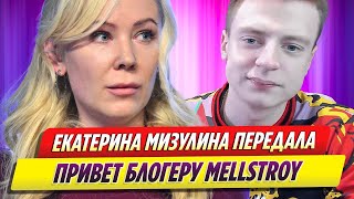 Екатерина Мизулина передала привет блогеру Mellstroy