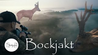 Bockjakt 2022 - Medaljbockar i dimman, Roe Deer hunting 2022 - Medal Deers in the fog