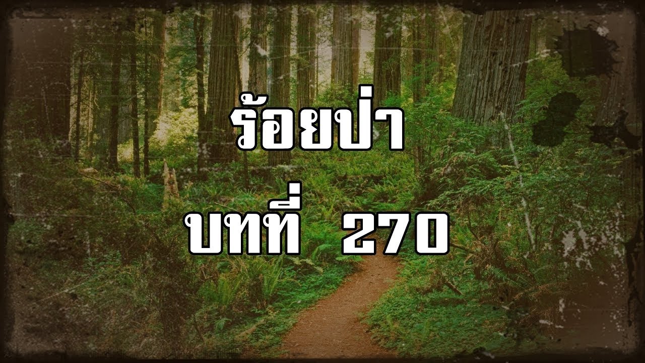 ร้อยป่า บทที่ 270 ความจริงที่เหมือนฝัน | สองยาม