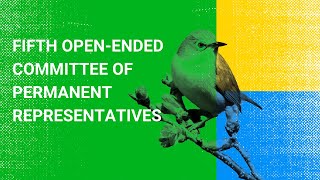 DAY 3 - Fifth Open Ended Committee of Permanent Representatives - English