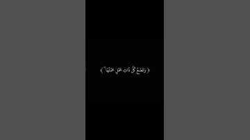 سورة الحج _ الاية 22 _ تلاوة رائعة _ ❤️🙏📖