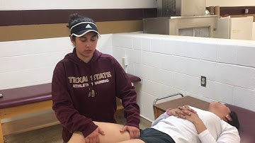 Hip : Pelvis Palpations