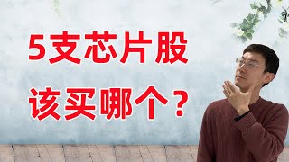 5支芯片股，终极大比拼！买哪个？