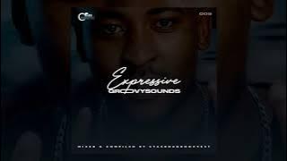 Stash Da Groovyest - Expressive Groovy Sounds 009
