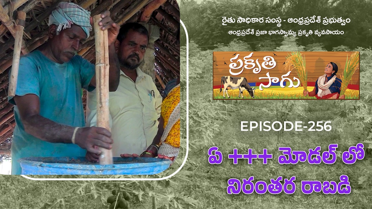 E256 | ఏ +++ మోడల్ లో నిరంతర రాబడి | బి. మోహన్ రెడ్డి | తిరుపతి జిల్లా