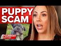 $94,000 con targeting Aussie dog lovers | A Current Affair