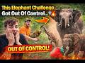 This Elephant Challenge Got Out Of Control… 🐘🔥