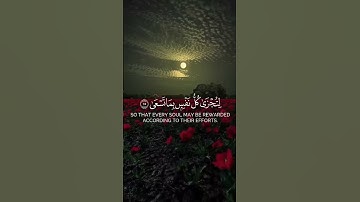 ارح سمعك#video #آيات #القرآن_الكريم #قرآن