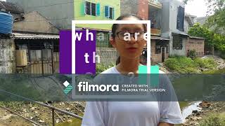 Effect Of Craft Villages On Water Environment