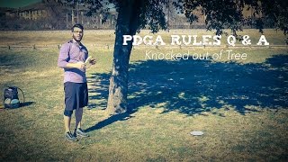PDGA Disc Golf Rules Q & A | Disc Knocked out of Tree