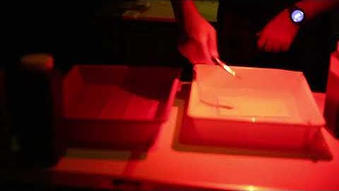 The Unveiling Hour: Making a Perfect Print in the Analog Darkroom (Red Light Confessions Ep. 1)