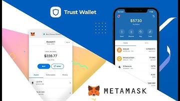 MetaMask Wallet Setup on Mozilla Firefox | Easy Step-by-Step Guide