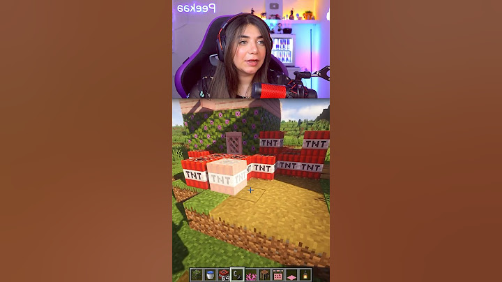 بيت لا يدمر بماين كرافت