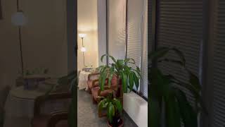 Red Rose Massage Sp