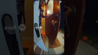 Cats vs. Sneeze Prank