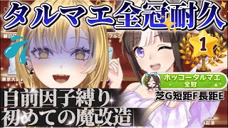 【#ウマ娘】耐久‼️自前因子で全冠とれるまで終われません‼️周年記念前夜祭耐久!配信者凸待ちや救済もあるから、応援よろしくお願いしまああああ #ウマ娘プリティーダービー 【#新人Vtuber 】