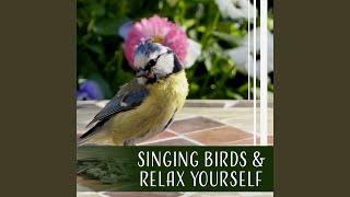 Singing Wing Echo & Stillness Yourself