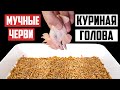 ЧТО БУДЕТ ЕСЛИ К 10 000 МУЧНЫХ ЧЕРВЕЙ ОПУСТИТЬ КУРИНУЮ ГОЛОВУ ? КУРИНАЯ ГОЛОВА VS МУЧНЫЕ ЧЕРВИ