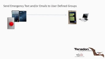 Teradon Raptor V Video